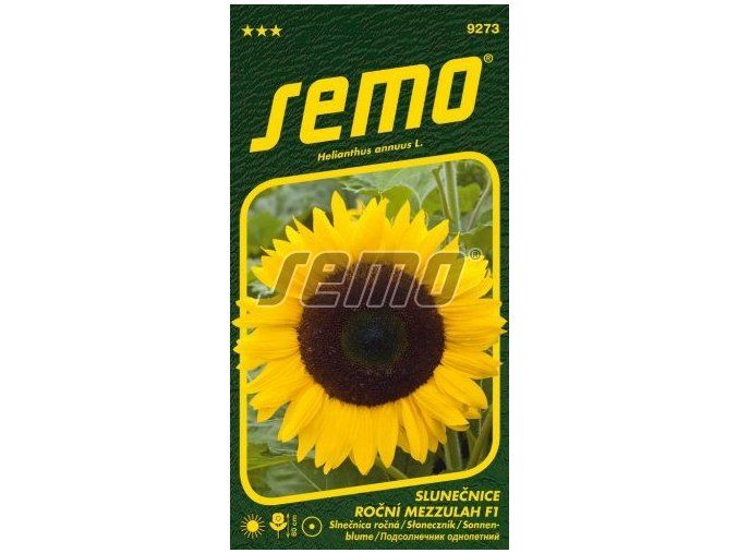 SLUNEČNICE ROČNÍ - MEZZULAH  F1 10 s