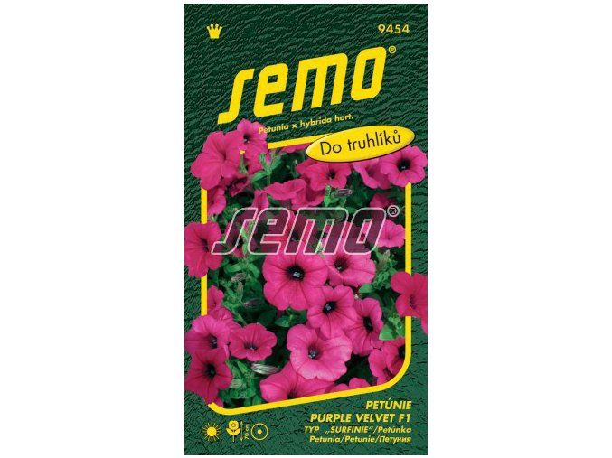 PETUNIE PURPLE VELVET F1 - převislá 10 p