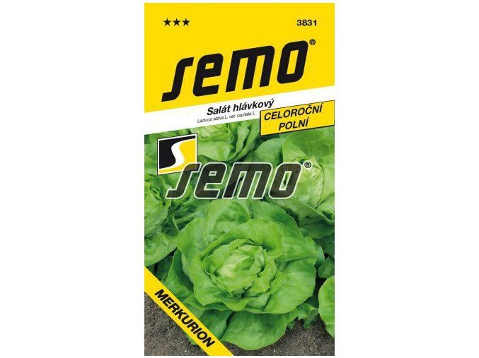 SALÁT MERKURION - celoroční 0.6 g