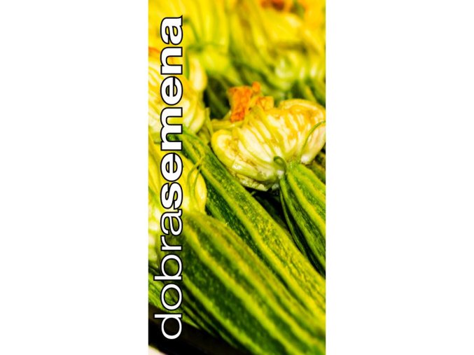 bio costata romanesca 10 s