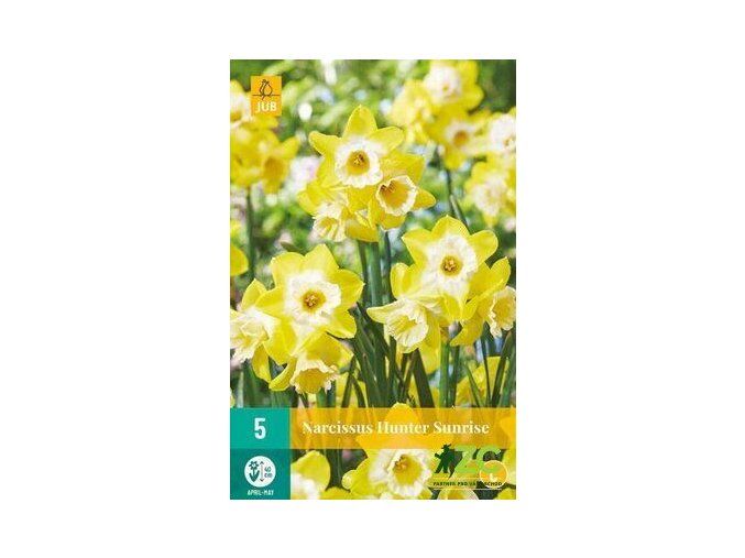 Karta Narcis Hunter Sunrise (5 cibulí)