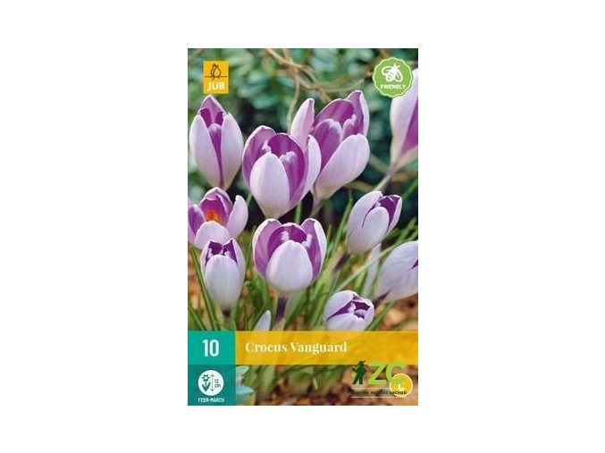 Karta Krokus Vanguard (10 cibulí)