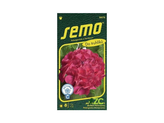 pelargonie paskata eva f1 11 s