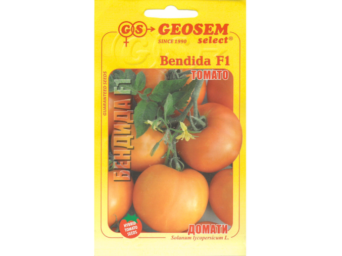 bendida