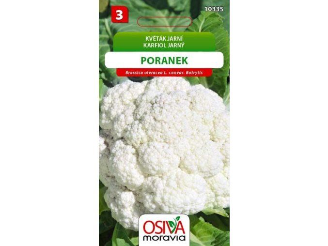 KVĚTÁK PORANEK - jarní středněraný 0,4 g