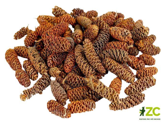 dekorace prizdoba birch pine sisky 250 g