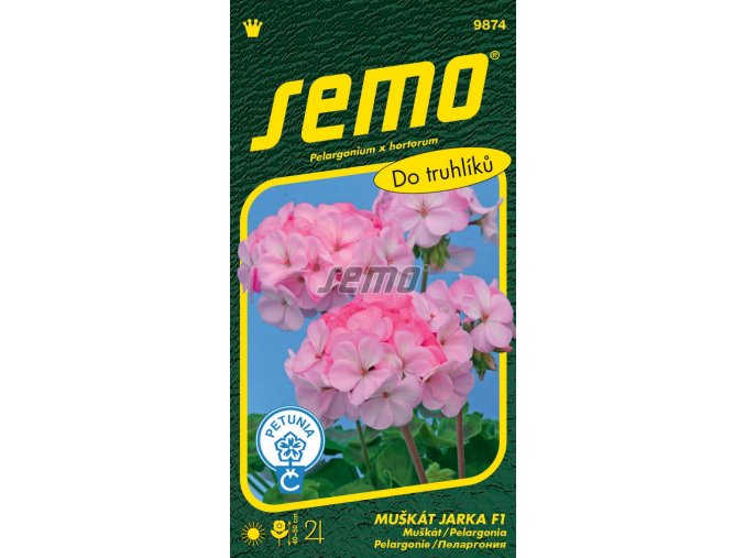 9874 semo kvetiny trvalky muskat paskaty jarka