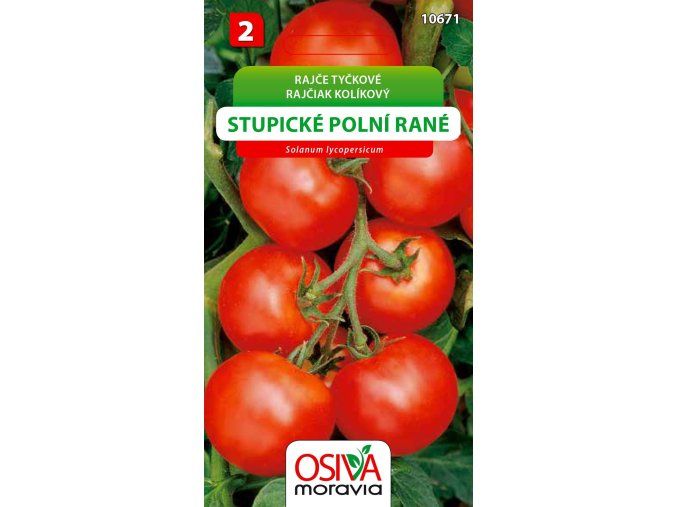 stupické