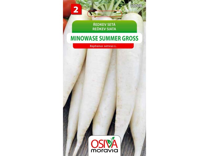 redkev seta minowase summer gross 100s