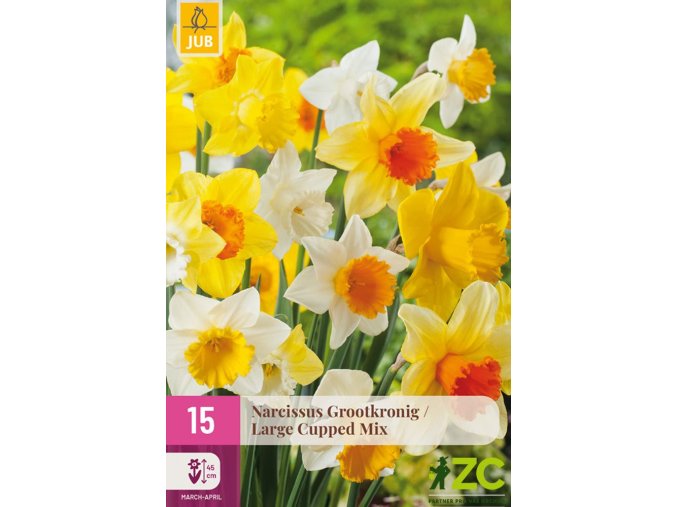 karta xxl narcis large cup mix 15 cibuli
