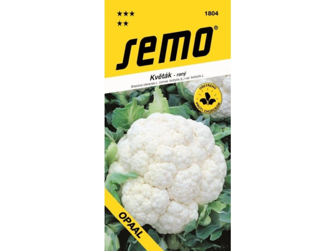 kvetak-opaal-jarni-rany-25-s