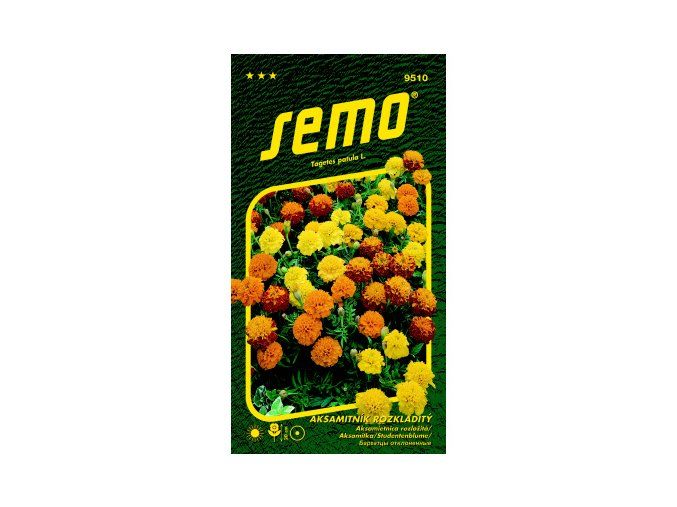 AKSAMITNÍK ROZKLADITÝ - Petit směs 1 g