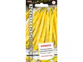 FAZOLE SONESTA - keříčkový 10 g