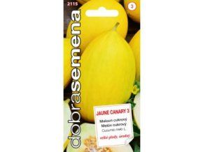 MELOUN JAUNE CANARY 3 - cukrový 20 s