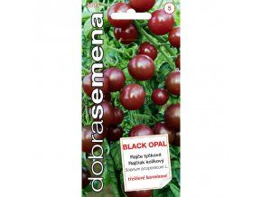 RAJČE TYČKOVÉ - BLACK OPAL 15 s