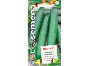 okurka marta f1 salatova 10 s
