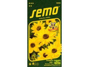 Slunečnice slabá - Sunny Babe 1,2g - série NEKTAR PÁRTY