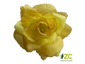 ruze-latkova-7-cm-žlutohneda