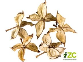 dekorace cotton flower 5 ks