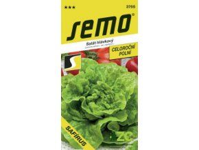 salat hlavkovy safirus 0 5 g celorocni