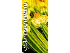 bio costata romanesca 10 s
