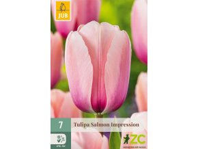 Karta - Tulipán - Salmon Impression (7 cibulí)