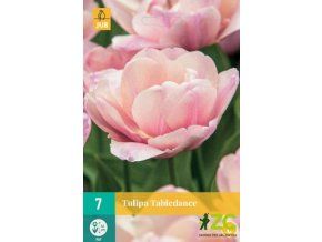 Karta Tulipán Tabledance (7 cibulí)