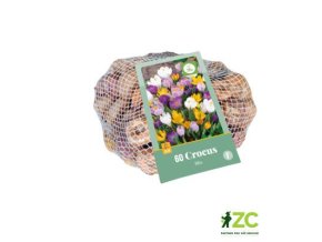 Síťka XXL Krokus Mix (60 cibulí)