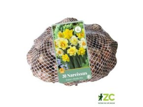 Síťka XXL Narcis Double Mix (30 cibulí)