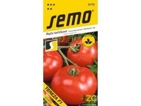 rajce kerickove tereza f1 40 s