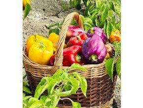 paprika-rocni-sladka-menavka-24s