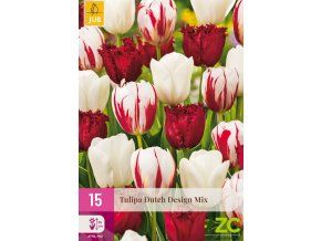 karta-xxl-tulipan-dutch-design-mix--15-cibuli-