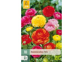 Karta Pryskyřník Ranunculus Mix (10 cibulí)