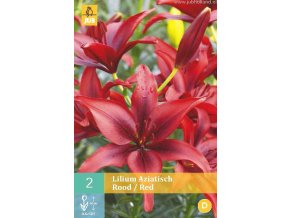 LILIE - AZIATISCH ROOD / RED