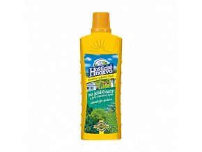 FORESTINA - Hoštické hnojivo na jehličnany s guánem