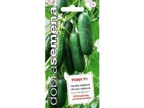 OKURKA PONY F1 - skleníková 10 s