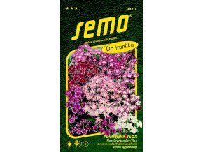 PLAMÉNKA FLOX - CUSPIDATA směs 0.3 g