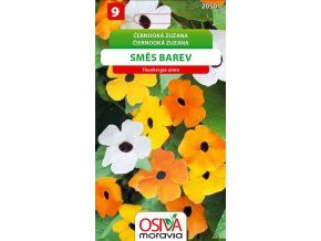 tunbergie-cernooka-zuzana--smes-s-okem-1-5-g