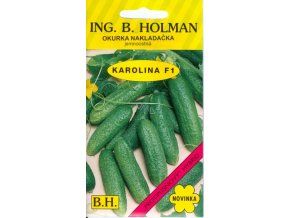 OKURKA KAROLINA F1 - nakladačka2.5 g