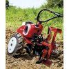 PUBERT - QUATRO JUNIOR V3 60H - kultivátor