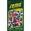 PETÚNIE STAR F1 - velkokvětá 30 p