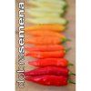 PAPRIKA OMNICOLOR - pálivá 10 KS
