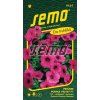 PETUNIE PURPLE VELVET F1 - převislá 10 p