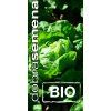 salat hlavkovy bio kral maje 0 5 g