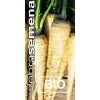 bio pastinak guernsey 2 g (1)