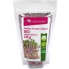 redkev cinska ruzova bio semena na kliceni 200g.jpg 207x317 q85 subsampling 2