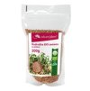 seminka redkvicka.jpg 207x317 q85 subsampling 2