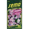 vecernicka primorska spring sparkle 0 2 g