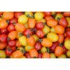 rajce tyckove appleberry orange f1 6 s 3