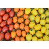rajce tyckove appleberry orange f1 6 s 4